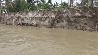 পদ্মার ভাঙনে দিশেহারা ৩ শতাধিক পরিবার